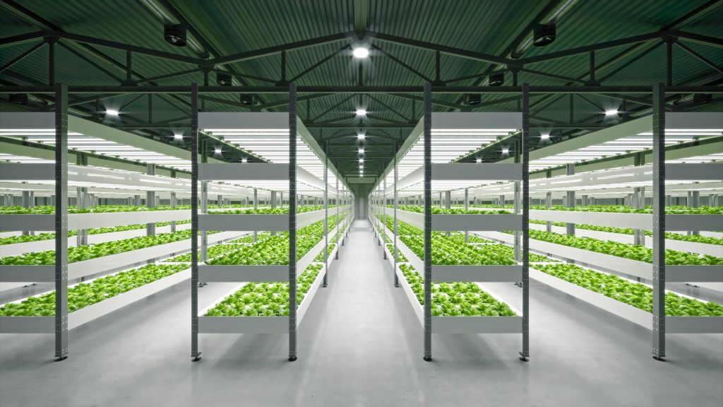 European Indoor Farming Power