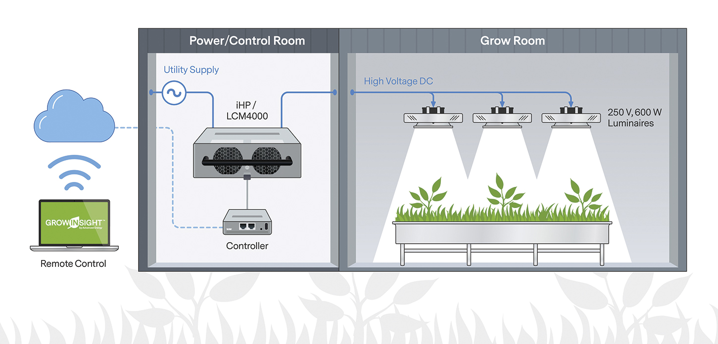 grow_1657789228_970_1657897652_016.png grow_1657789228_970_1657897652_016.png